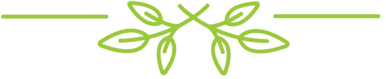 Meet Susan Page Susan Page